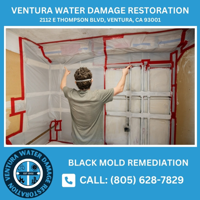 Black Mold Removal