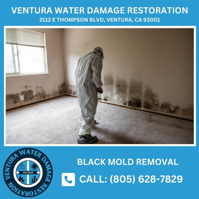 black mold removal