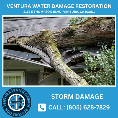 storm damage